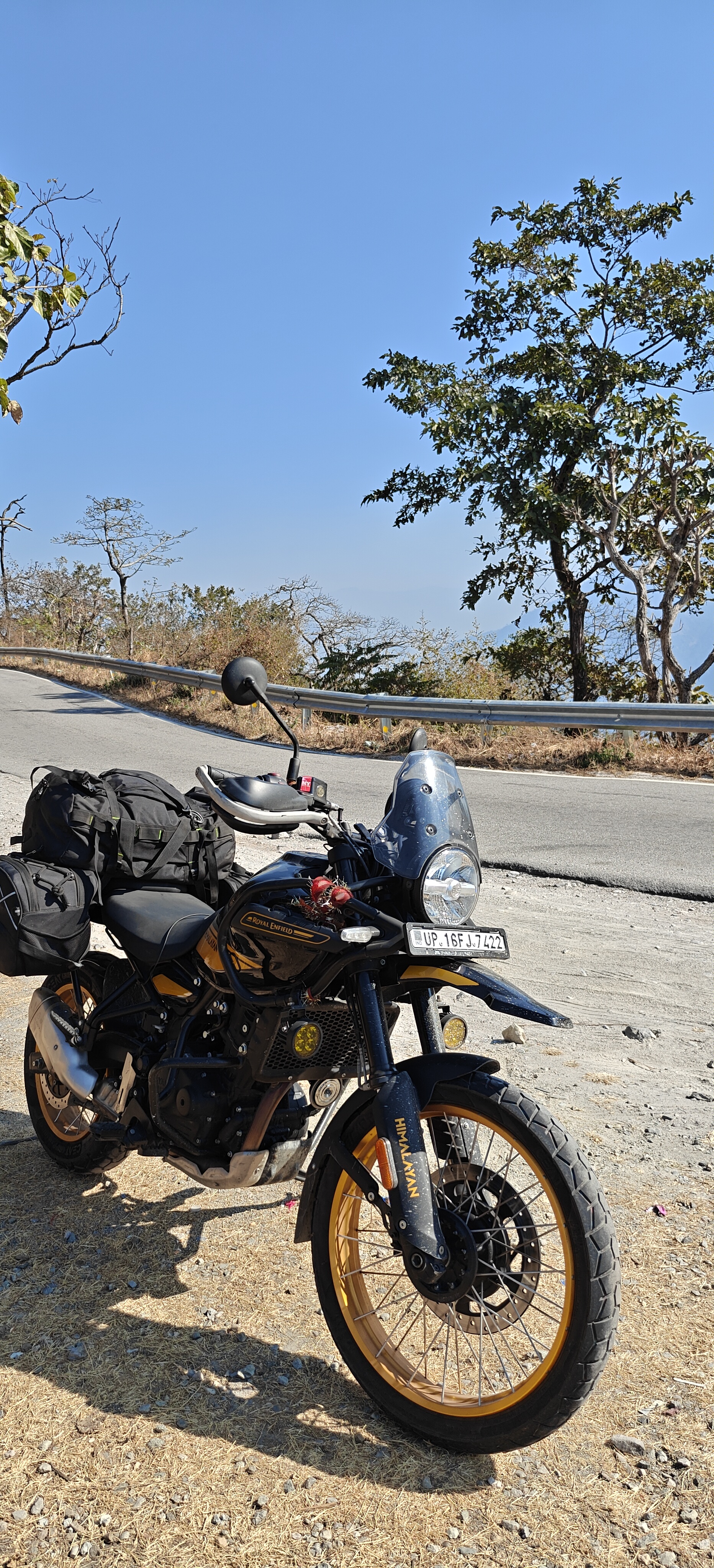 Himalayan photo 4